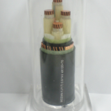 輻照交聯(lián)聚烯烴絕緣電線(xiàn)電纜