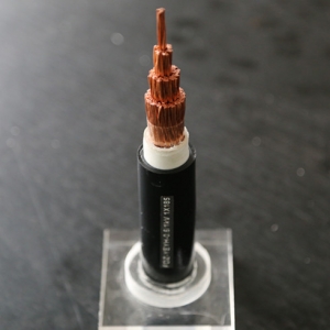 無錫遠(yuǎn)東電纜