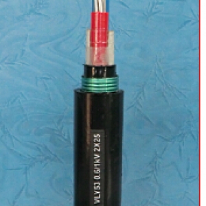 無錫遠(yuǎn)東電纜