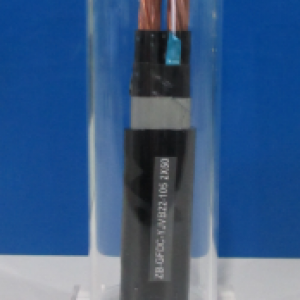 無(wú)錫遠(yuǎn)東電纜