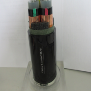 無(wú)錫遠(yuǎn)東電纜